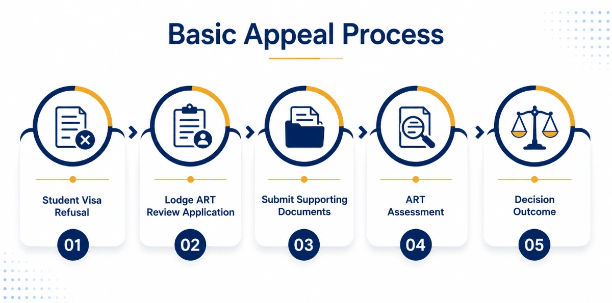 Basic Appeal Process Infographic